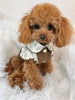 TaniWina Corduroy Suspenders Dress for Small Dog Clothes