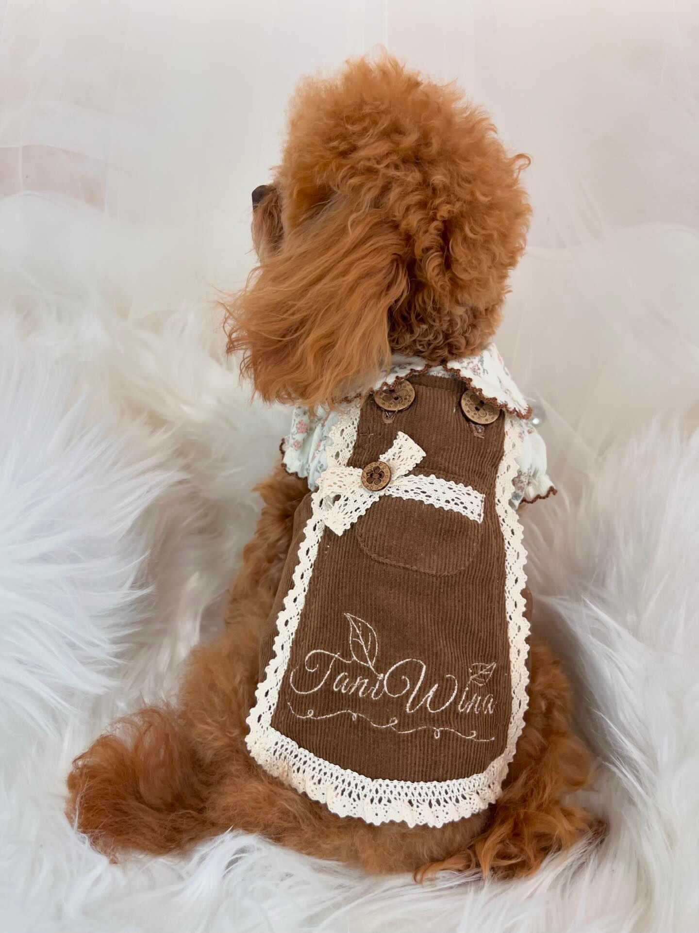 TaniWina Corduroy Suspenders Dress for Small Dog Clothes TaniWina Pet Clothes TaniWina Corduroy Suspenders Dress for Small Dog Clothes TaniWina Pet Clothes