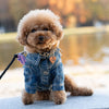 TaniWina Classic Denim Dog Jacket – Vintage Style for Small Dogs