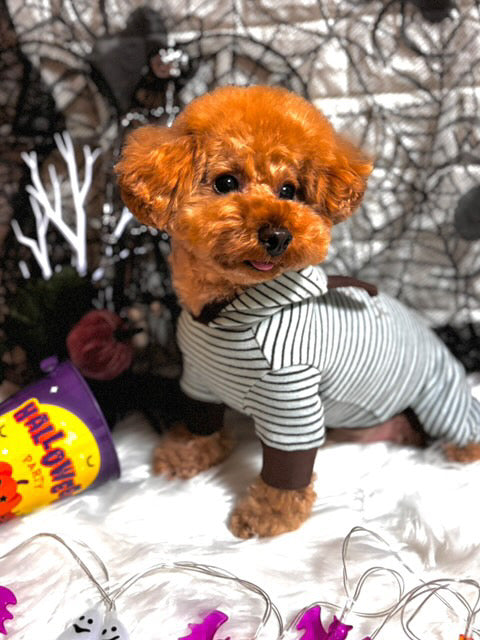 TaniWina Spooky Monster Horn Romper – Halloween Limited Edition