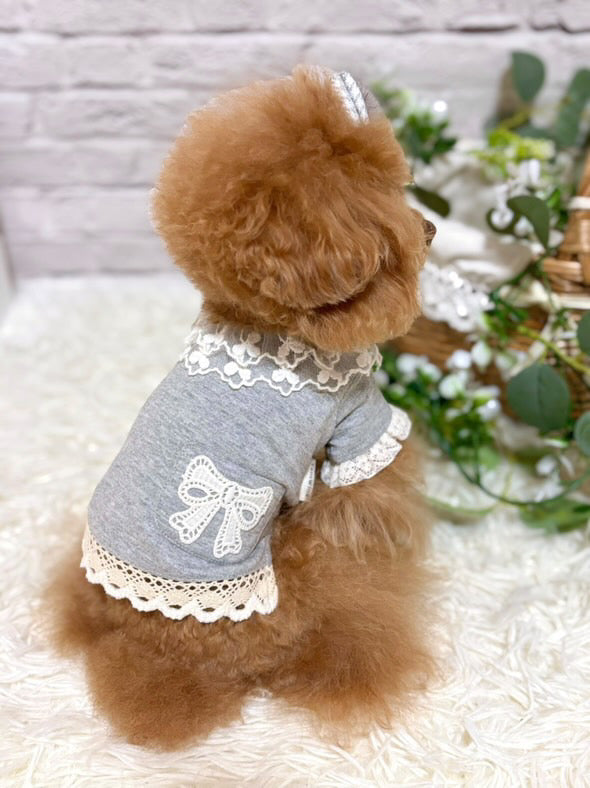 Taniwina ロマンティックレースカラーブラウス