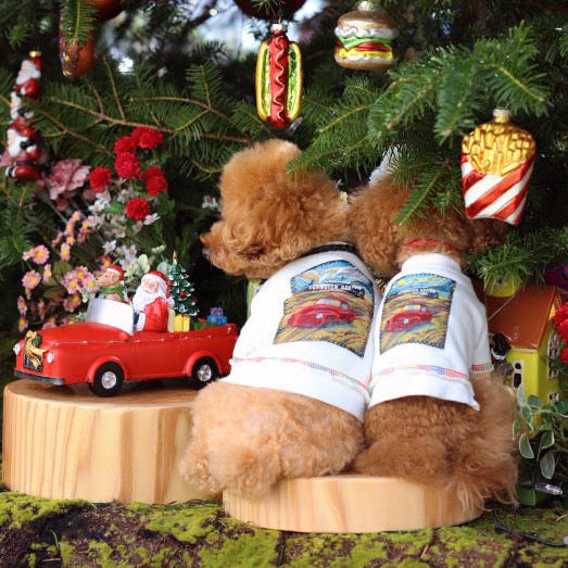 TaniWina Vintage Road Trip Car Sweatshirt – Retro Print Pet Pullover