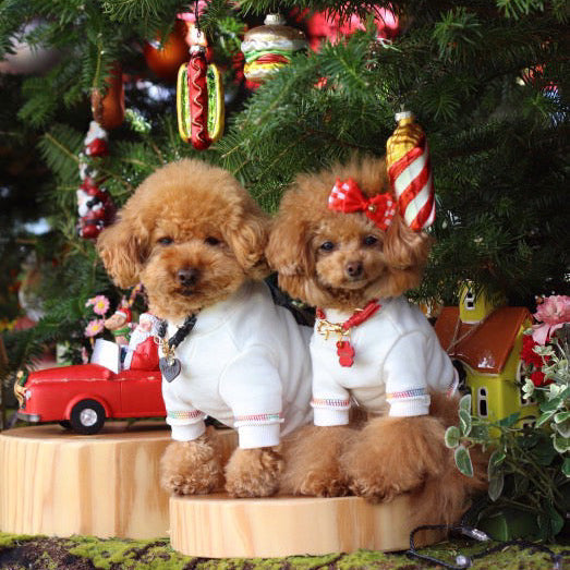 TaniWina Vintage Road Trip Car Sweatshirt – Retro Print Pet Pullover