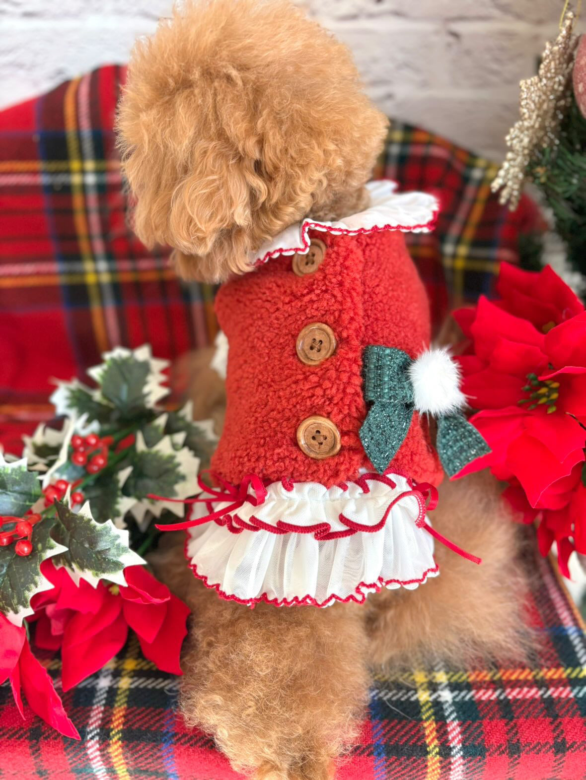 TaniWina Berry Sweet Christmas Dress Set