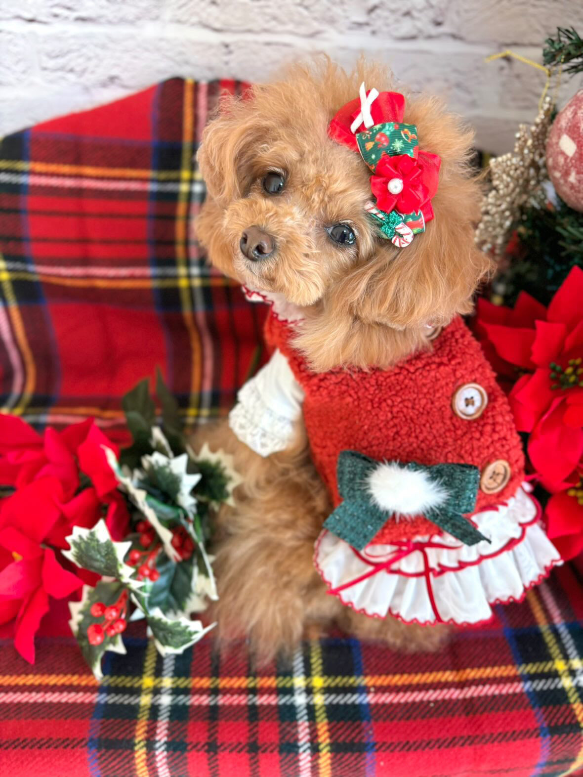 TaniWina Berry Sweet Christmas Dress Set