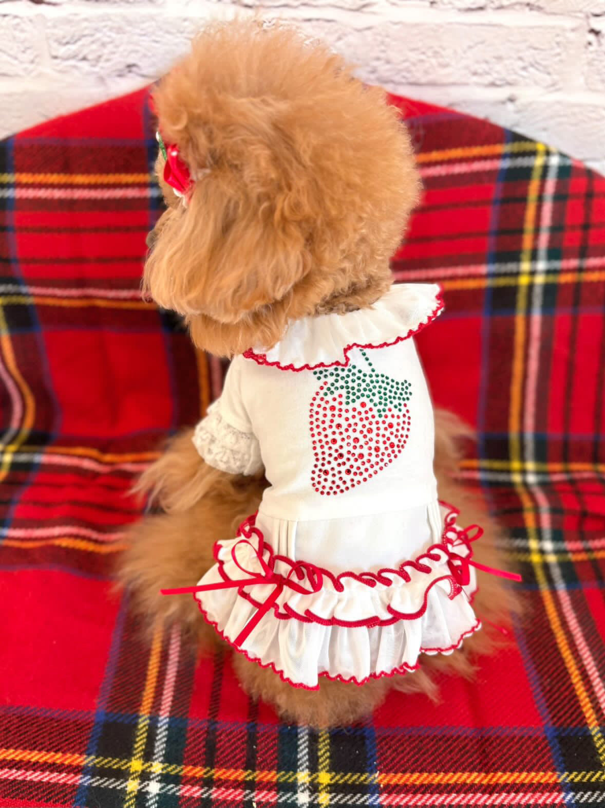 TaniWina Berry Sweet Christmas Dress Set