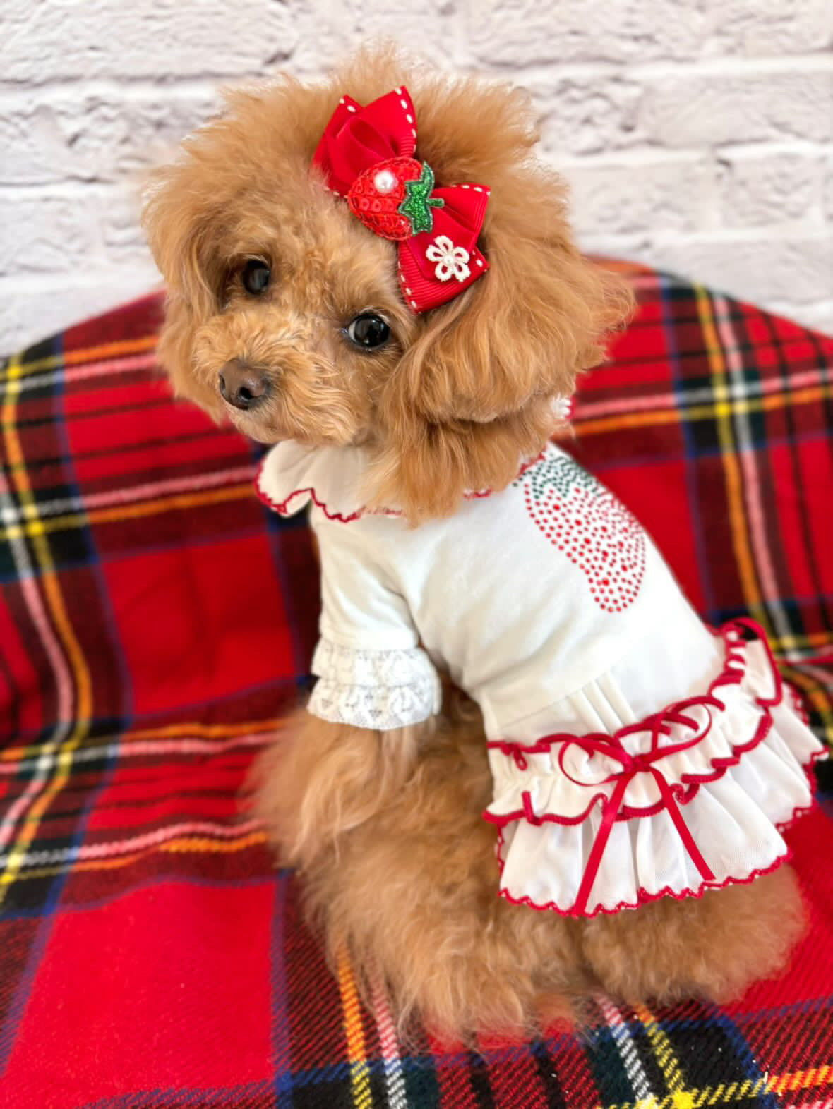 TaniWina Berry Sweet Christmas Dress Set