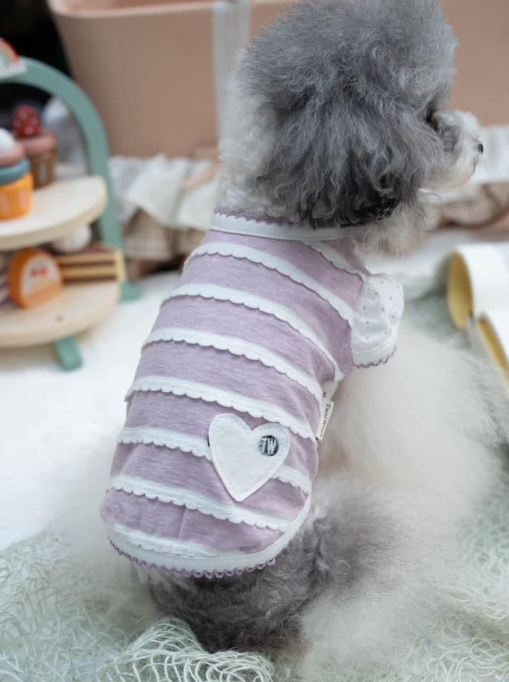 TaniWina Pawfect Patchwork: Stylish Shirt for Small Dogs