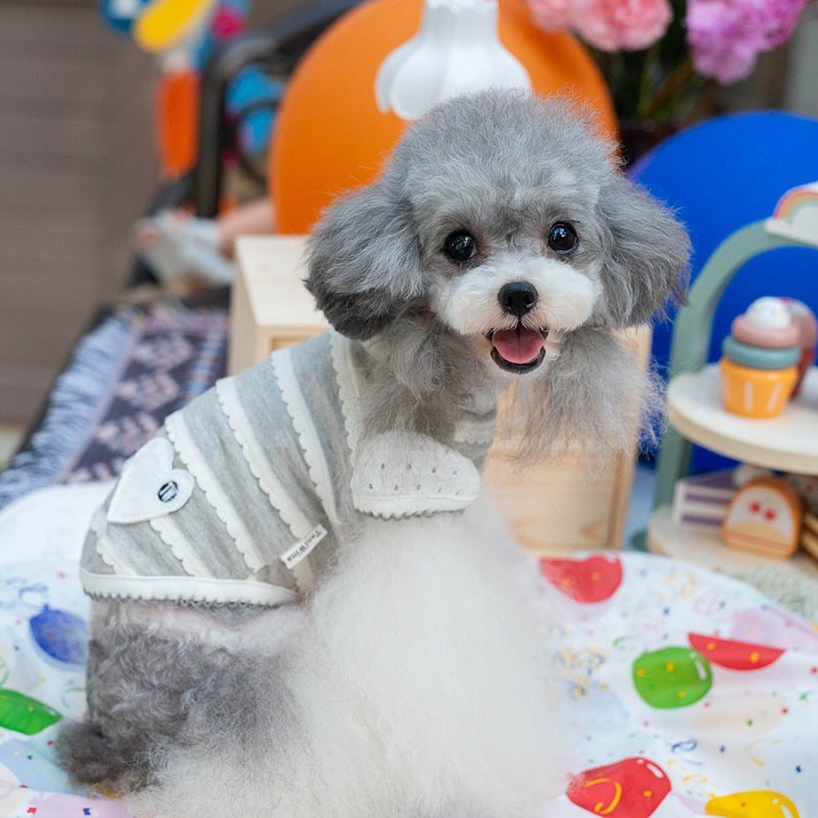 TaniWina Pawfect Patchwork: Stylish Shirt for Small Dogs