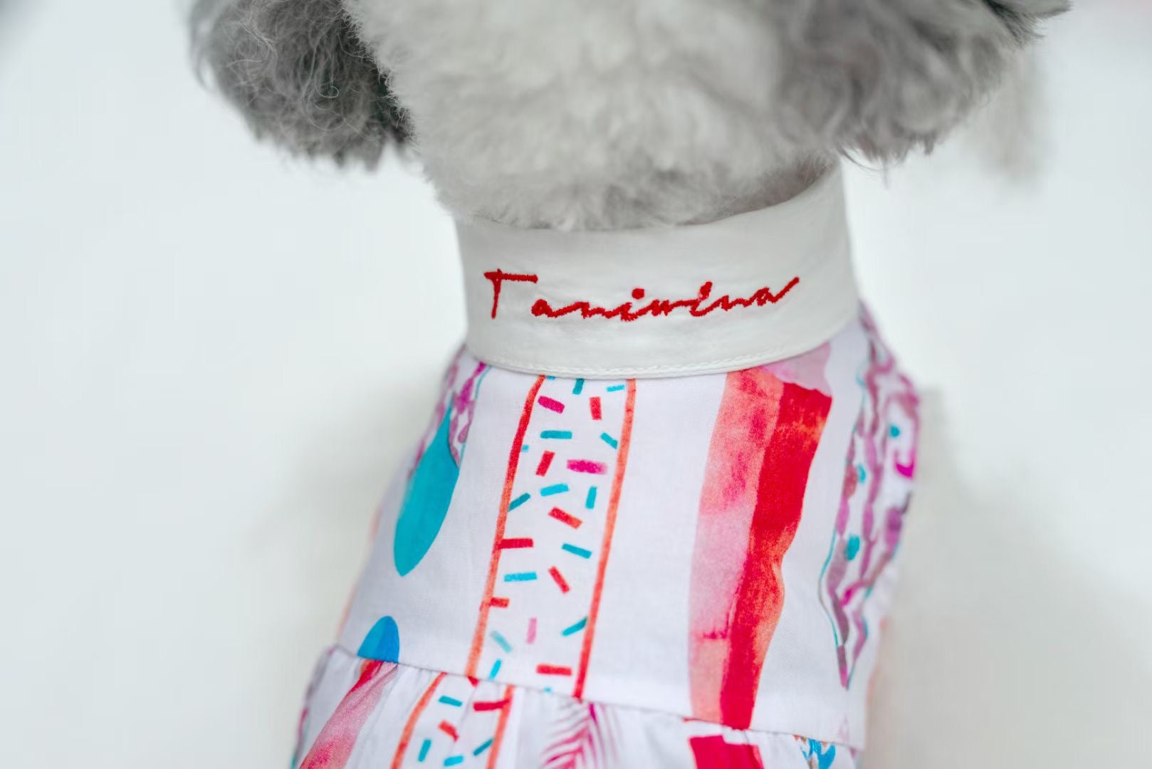 TaniWina Petite Paws Embroidered Collar Shirt for Small Dog