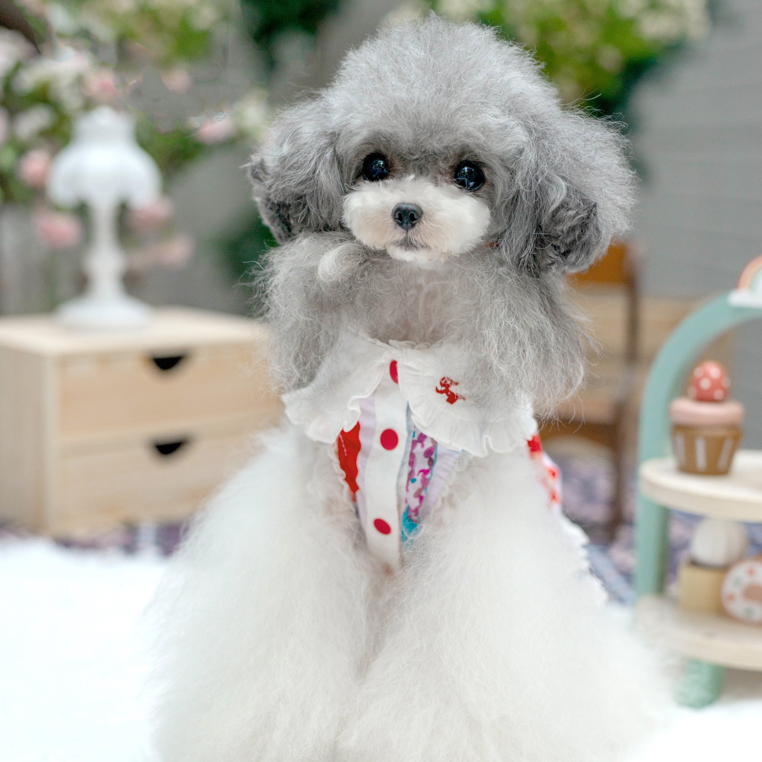 TaniWina Petite Fairy Embroidered Dress for Small Dog