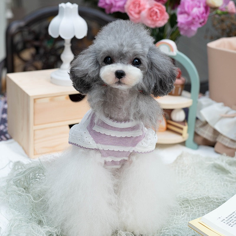 TaniWina Pawfect Patchwork: Stylish Shirt for Small Dogs