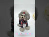 Load and play video in Gallery viewer, TaniWina Story Hoodie Vest Series – 5 Colors