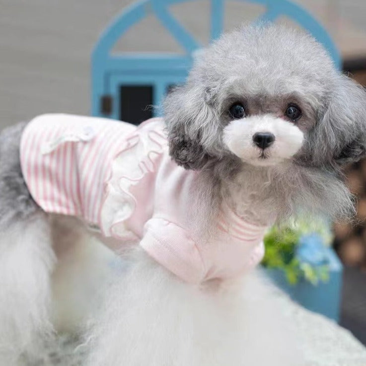 TaniWina New Collection Lace and Stripes Shirt Pet Clothing for Small dog