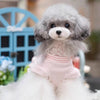 TaniWina New Collection Lace and Stripes Shirt Pet Clothing for Small dog