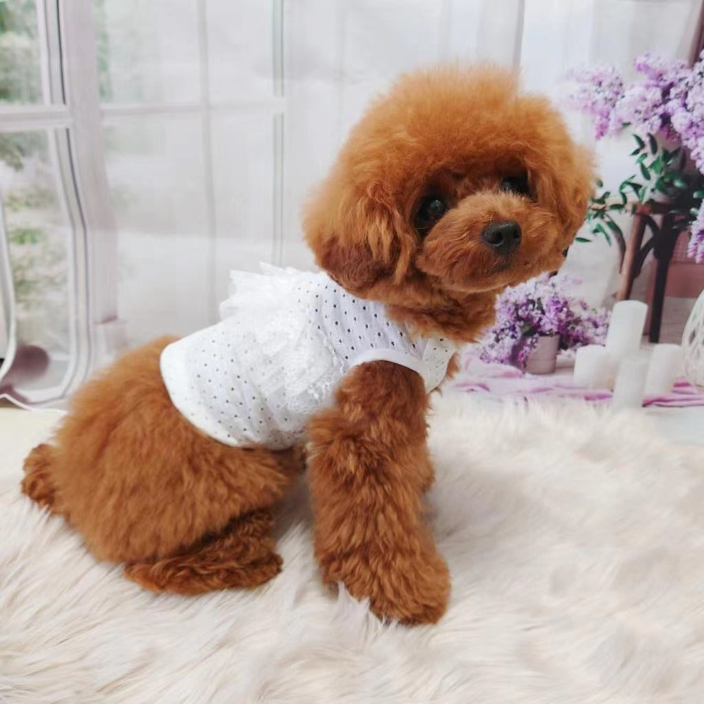 TaniWina White Lace Shirt Pet Clothes