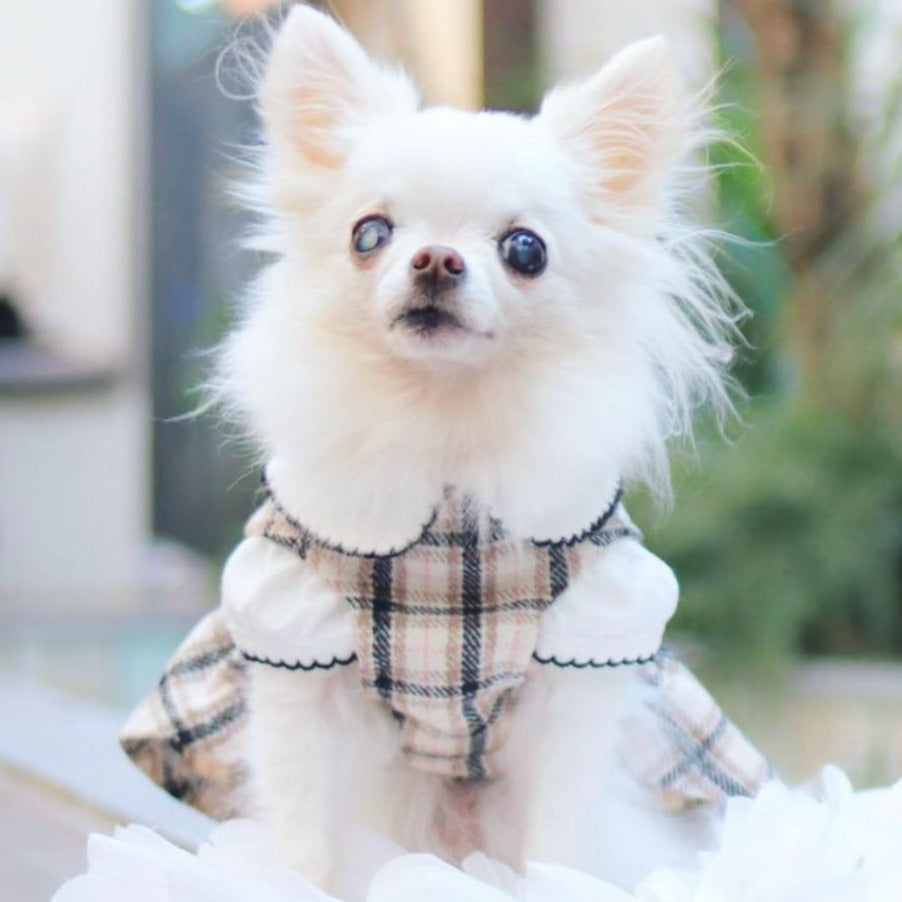 TaniWina Pet Costume Cotton Plaid Skirt