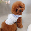 TaniWina White Lace Shirt Pet Clothes