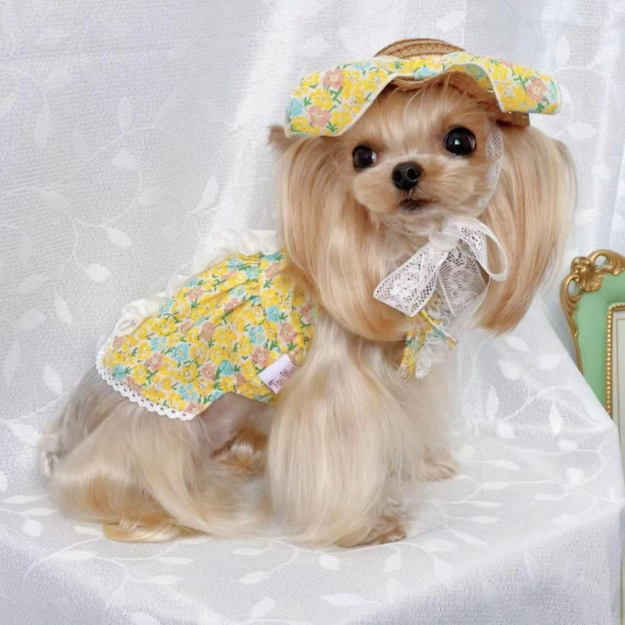 TaniWina Cotton Floral Vest Skirt Lace Pet Clothes