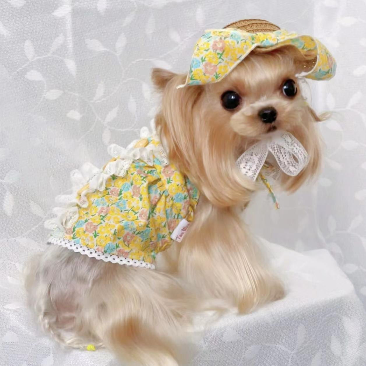 TaniWina Cotton Floral Vest Skirt Lace Pet Clothes