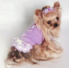 TaniWina Pet Costume Dress Suit