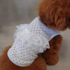 TaniWina White Lace Shirt Pet Clothes