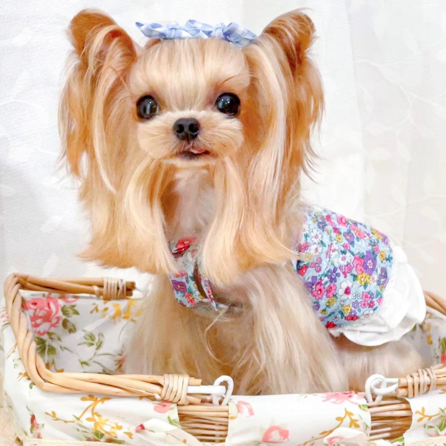 TaniWina Pet Costume Suspender Floral Skirt