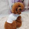 TaniWina White Lace Shirt Pet Clothes