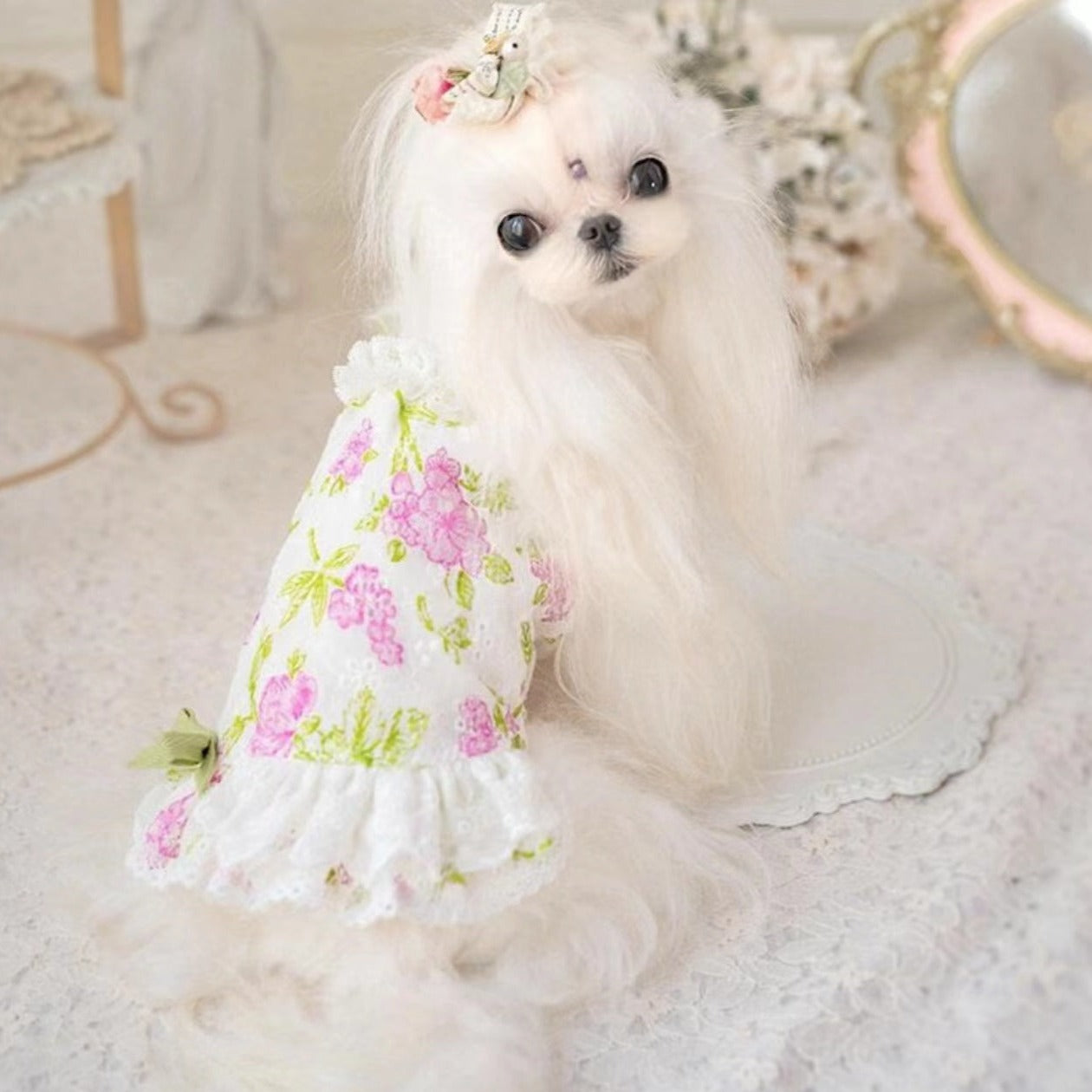 TaniWina Pet Costume Hollow Cotton Suspender Princess Dress