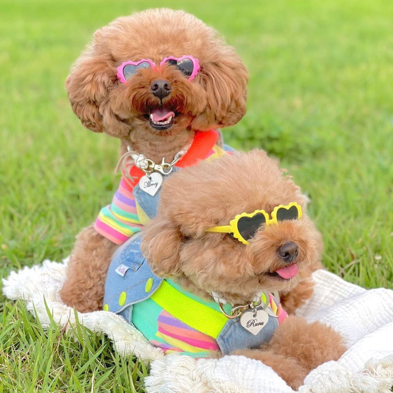 TaniWina Pet Clothing Contrast Color Rainbow Dog Shirt Pet Clothes for Small Dog