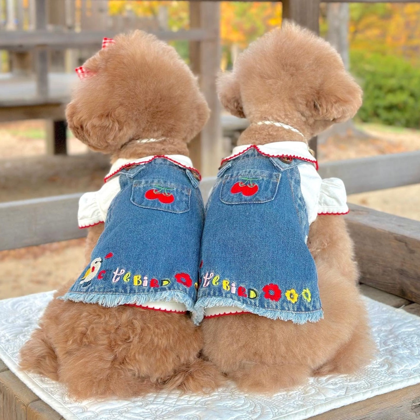 TaniWina Pet Clothing Denim Embroidery Jumper Dress - Cute and Stylish Dress for Small Dogs