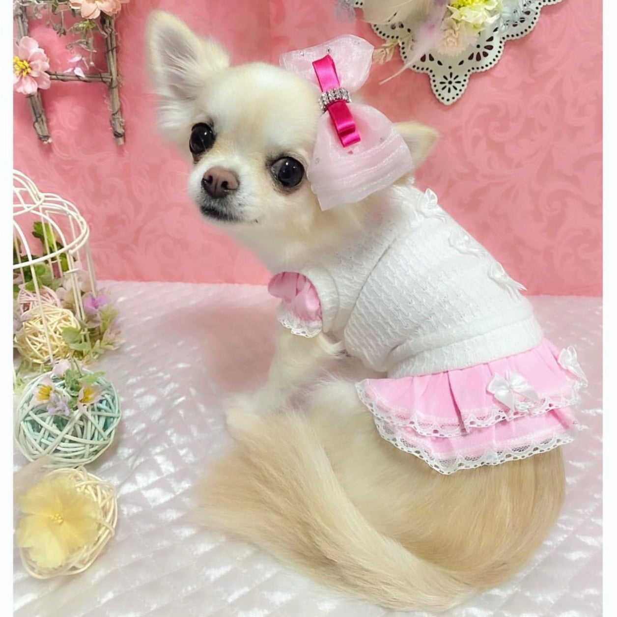 TaniWina Pet Costume Dress Suit