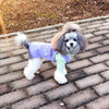 TaniWina Pet Clothing Casual Cute Skirt