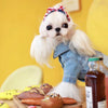 TaniWina Pet Clothing Denim Jacket Pet clothes for small dog