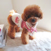 TaniWina Pet Clothing Pastoral Style Cotton-Coat Set With Hair Clip And Scarf