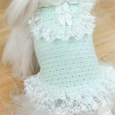 TaniWina  Macarons Color lace pet clothes Maltese Yorkshire Bear Poodle Shihzu