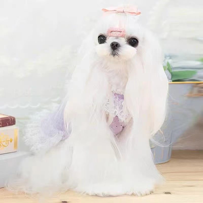 TaniWina  Macarons Color lace pet clothes Maltese Yorkshire Bear Poodle Shihzu