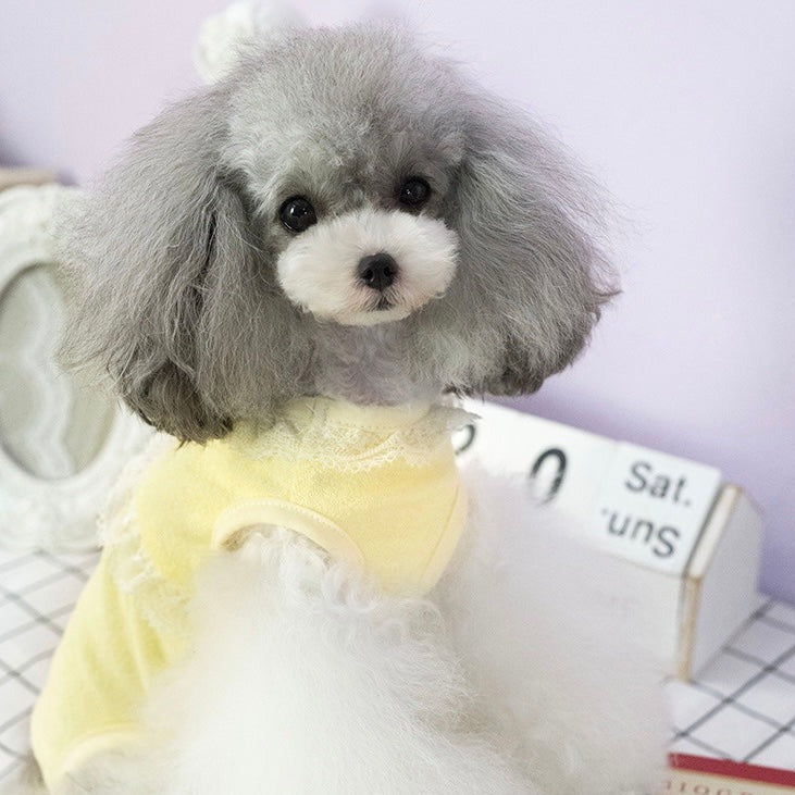 TaniWina Pet Clothes Autumn Winter New Products Pure Cotton Terry Cloth Cover Belly