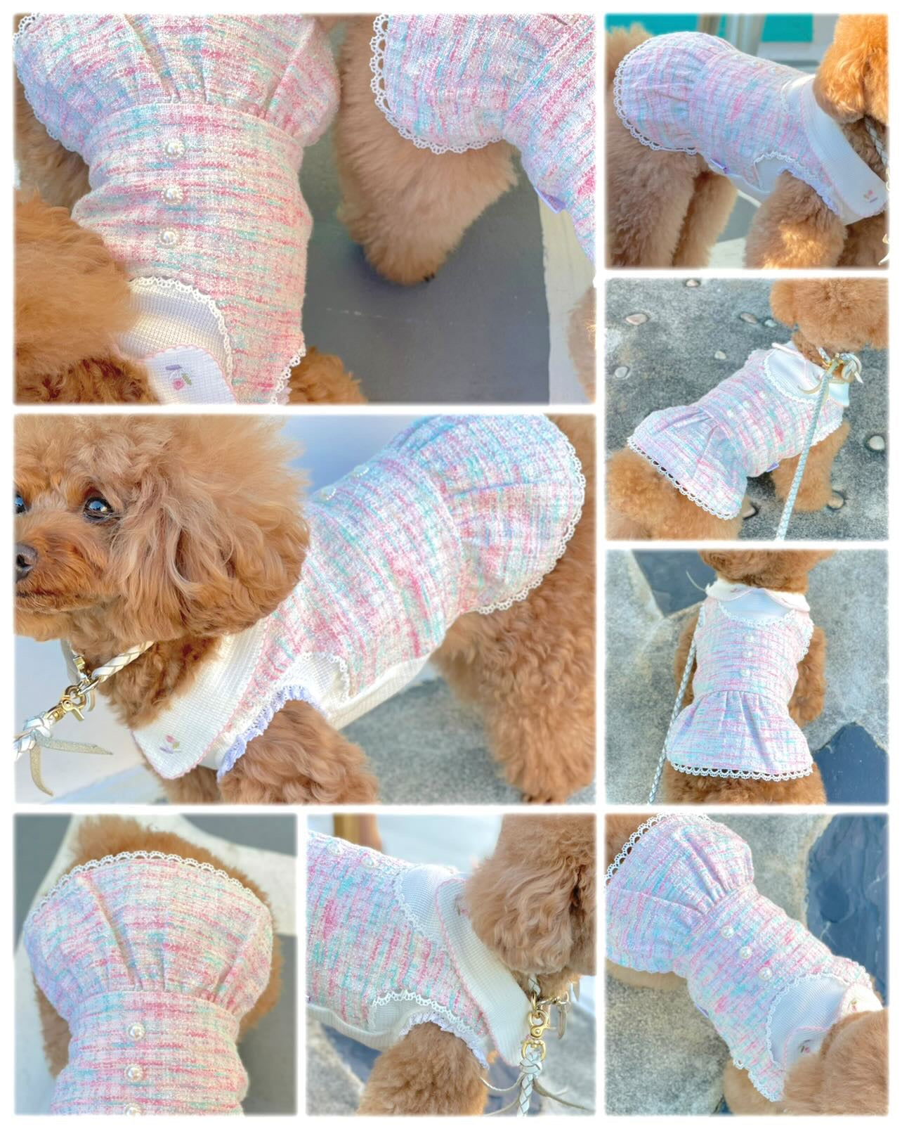 Chewnel Pink Sweater – KNOX DOGWEAR
