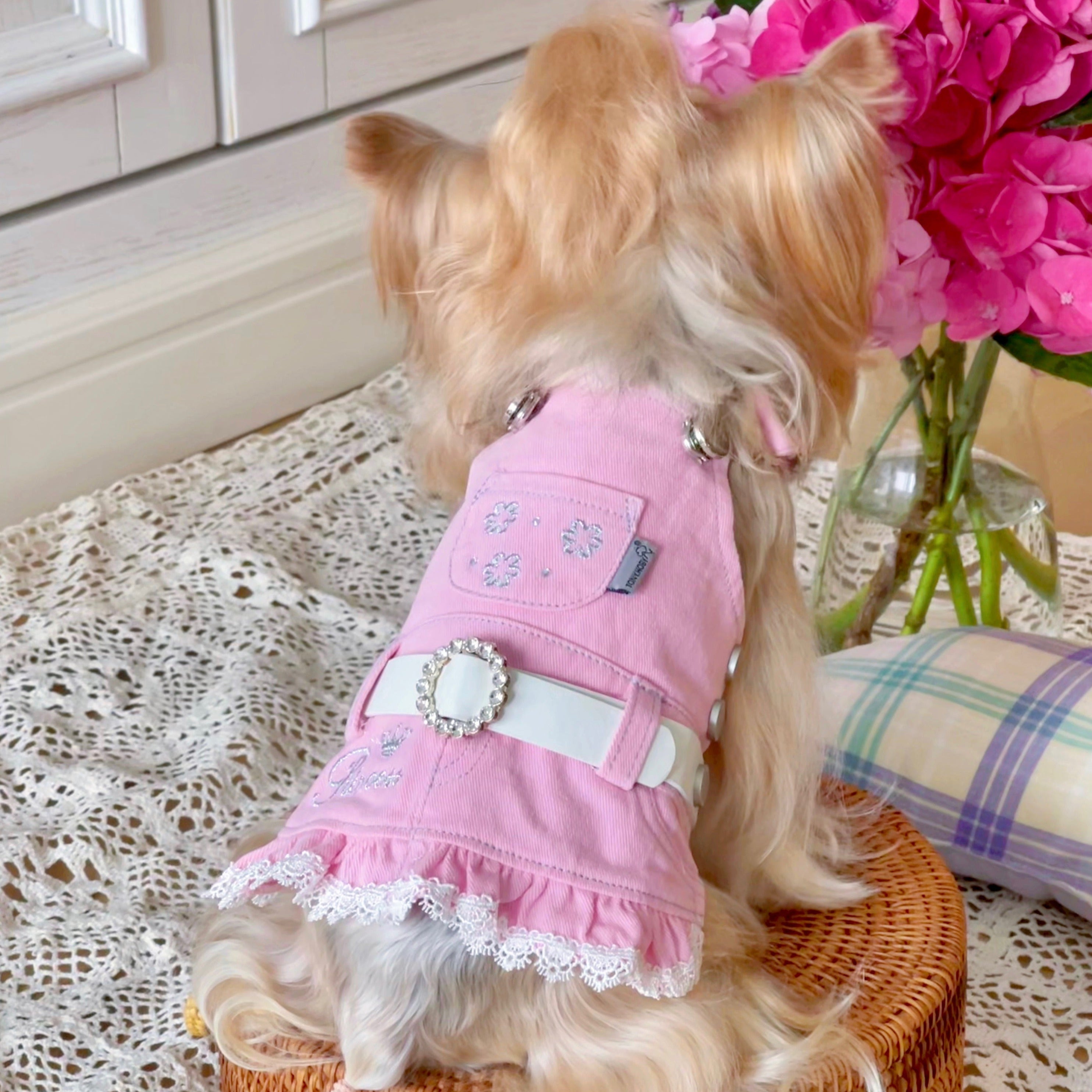 TaniWina Pet Costume Casual Cute Embroidery Princess Suspender Skirt Dog Clothes