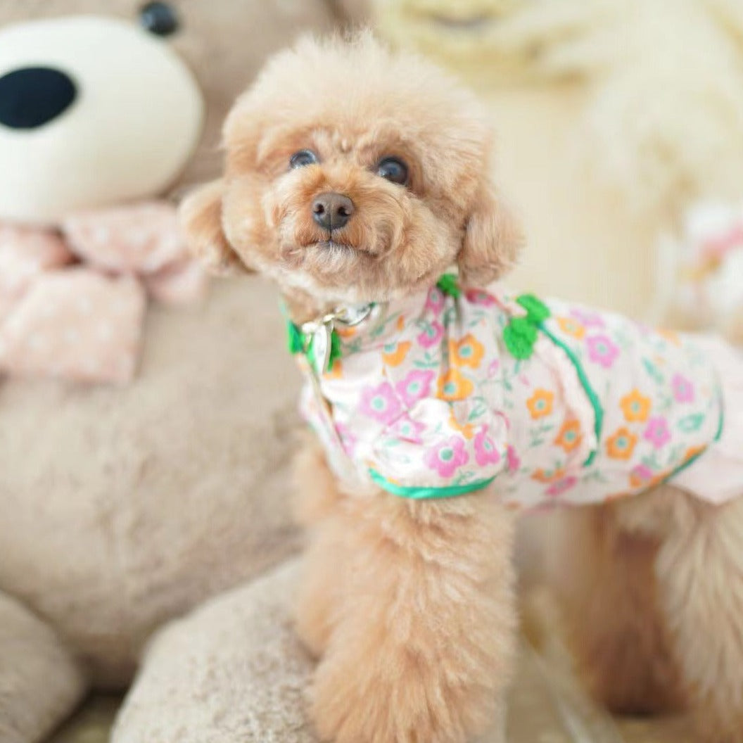 TaniWina Pet Clothing Cheongsam Chinese New Year Winter Clothes