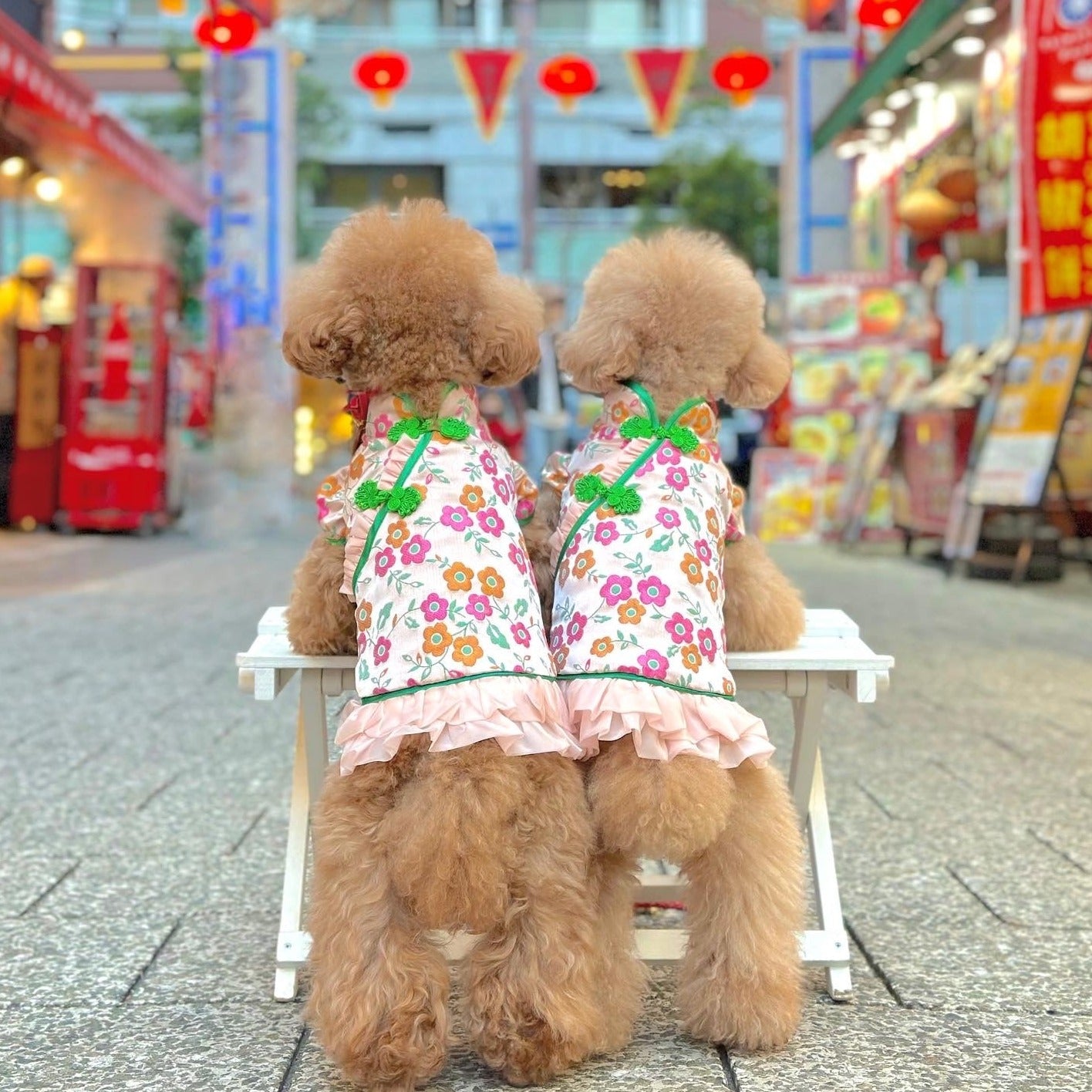 TaniWina Pet Clothing Cheongsam Chinese New Year Winter Clothes