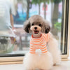 TaniWina Pet Clothing Fashionable Fluorescent Striped T-Shirt