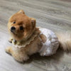 TaniWina Pet Costume Bowknot Lace Suspenders Pants