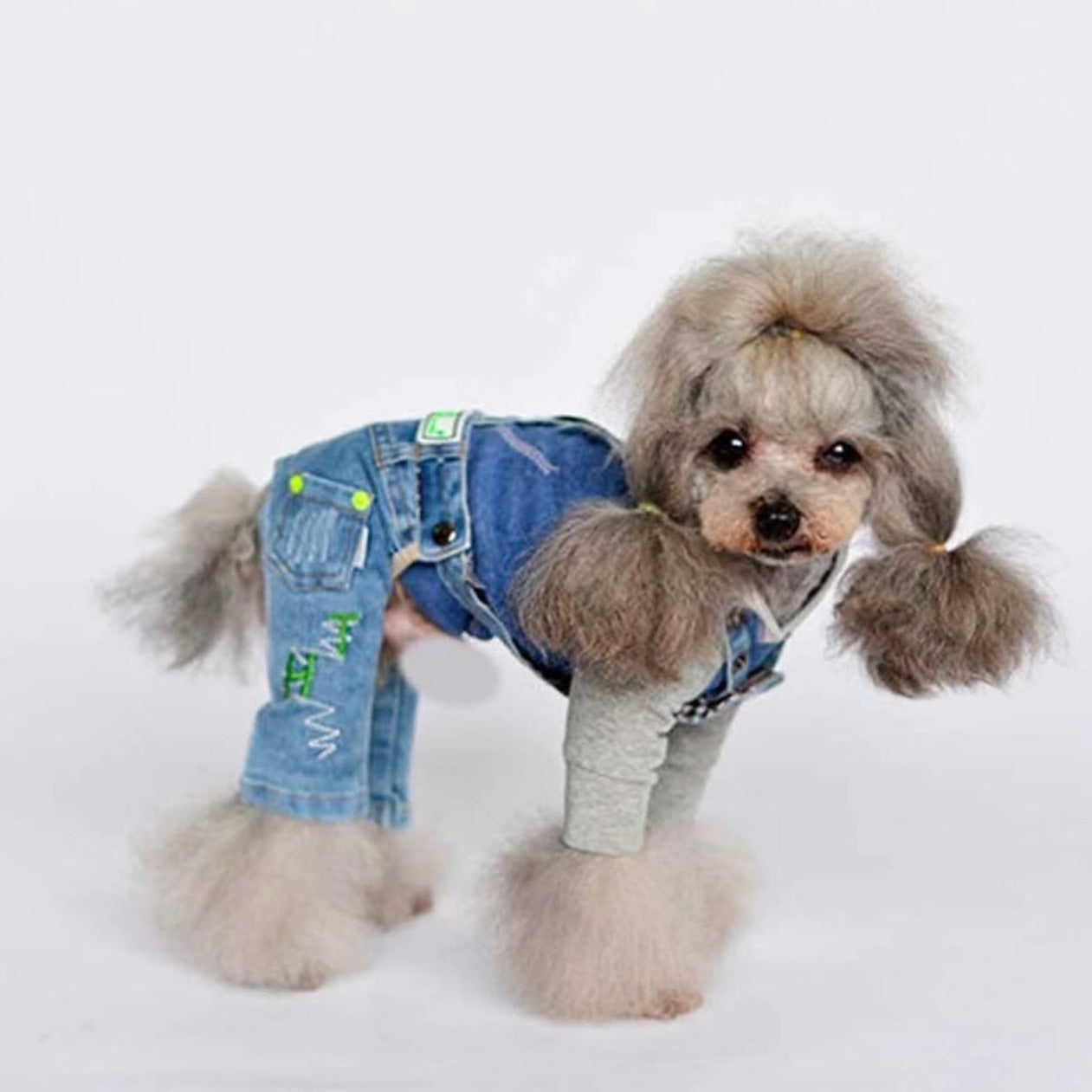 TaniWina Paws in Denim: Chic Light Blue Embroidered Pet Pants for Fashionable Pets