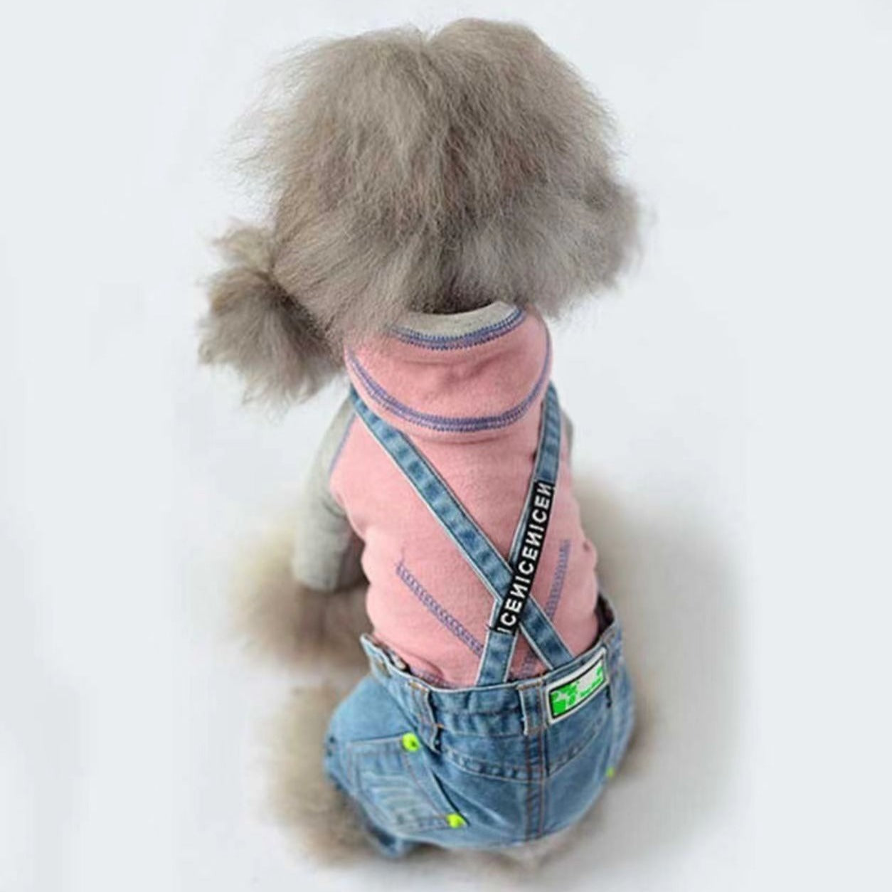 TaniWina Paws in Denim: Chic Light Blue Embroidered Pet Pants for Fashionable Pets