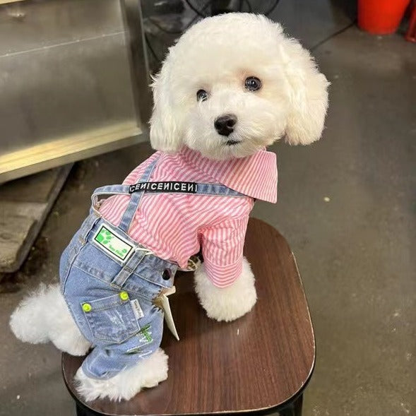 TaniWina Paws in Denim: Chic Light Blue Embroidered Pet Pants for Fashionable Pets