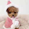 TaniWina Cute Red Dress with Hat Dog Clothes Christmas Set