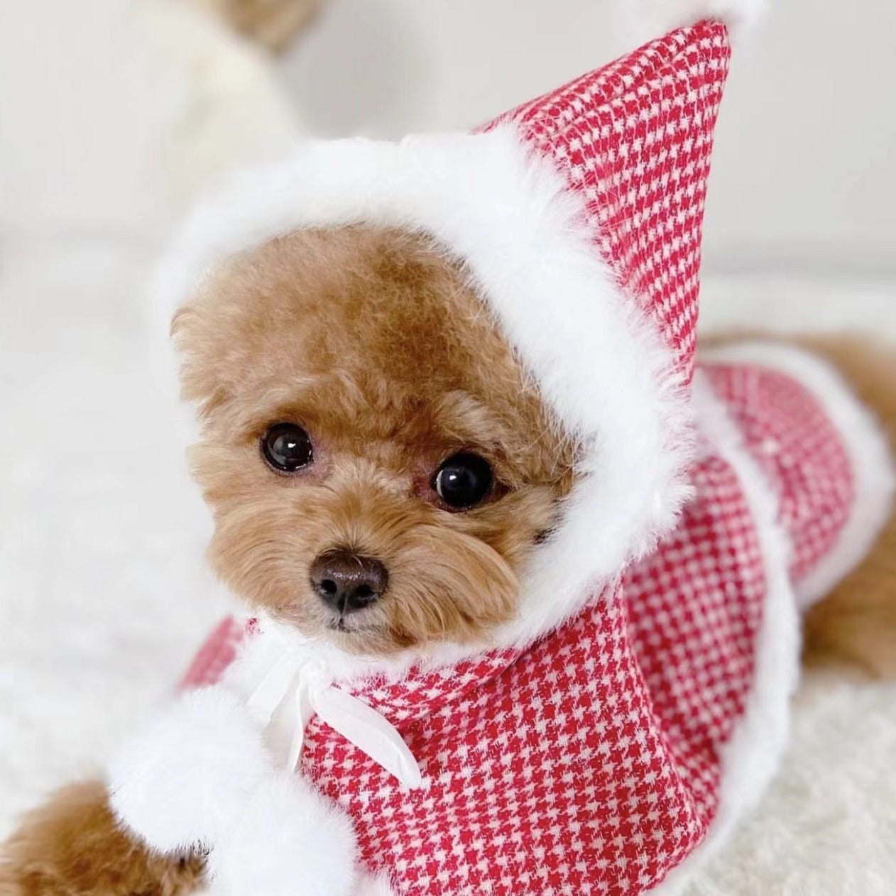 TaniWina Cute Red Dress with Hat Dog Clothes Christmas Set