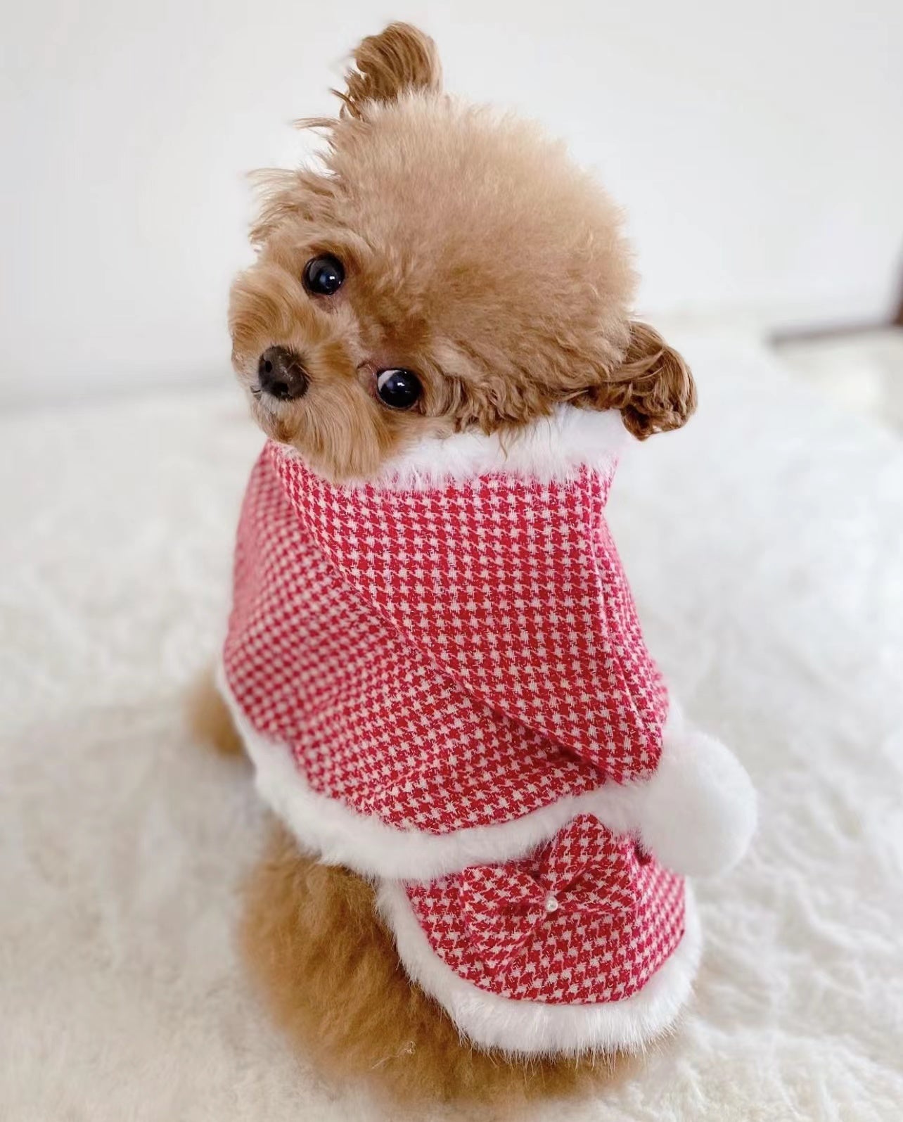 TaniWina Cute Red Dress with Hat Dog Clothes Christmas Set